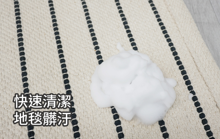 快速清潔地毯髒汙