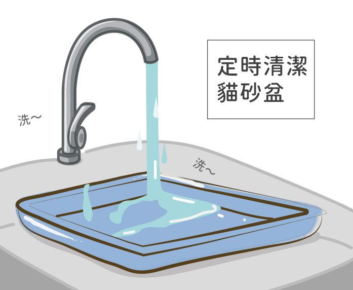定時清潔貓砂盆