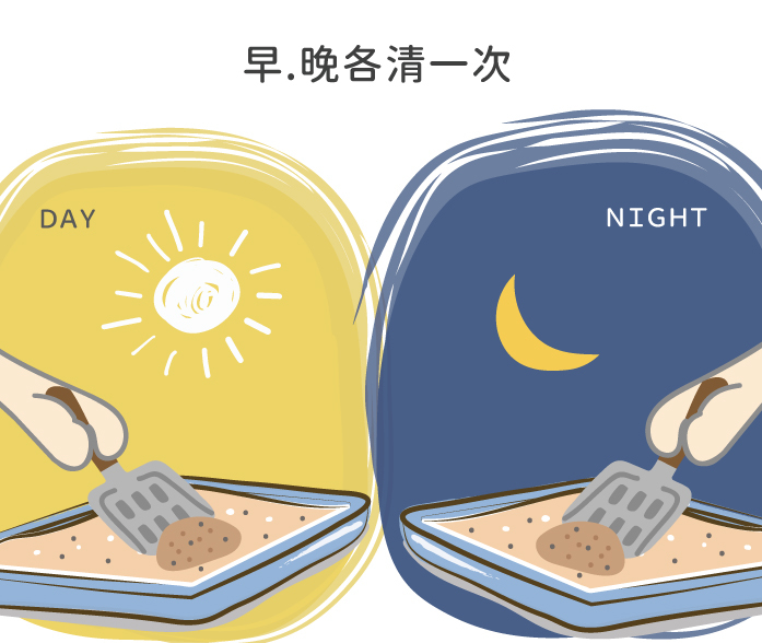 貓砂清潔頻率 早晚各一次