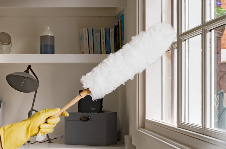 正確清潔窗戶紗窗