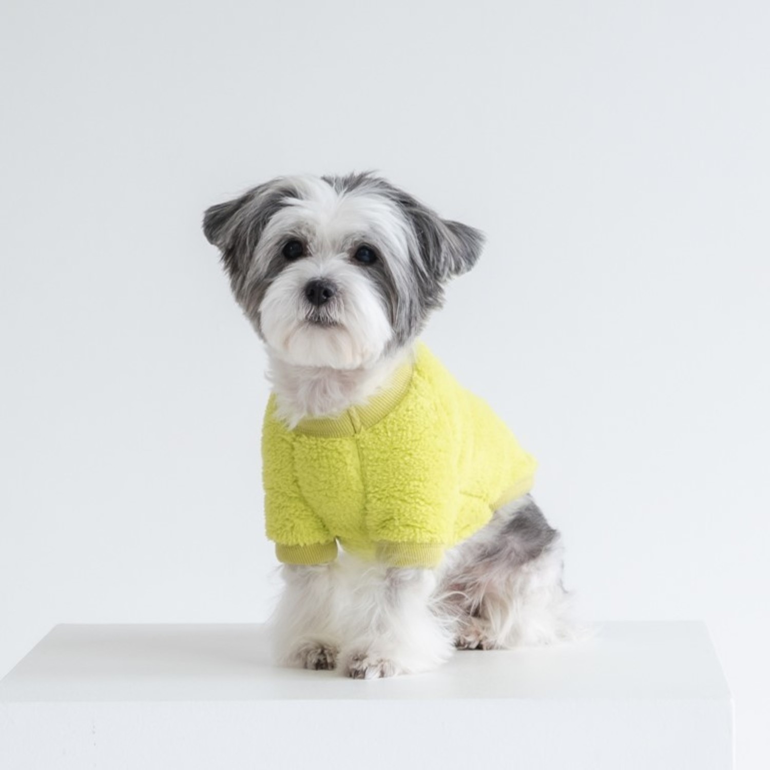 Dentist Appointment Disney 寶兒T-Shirt (Mike)