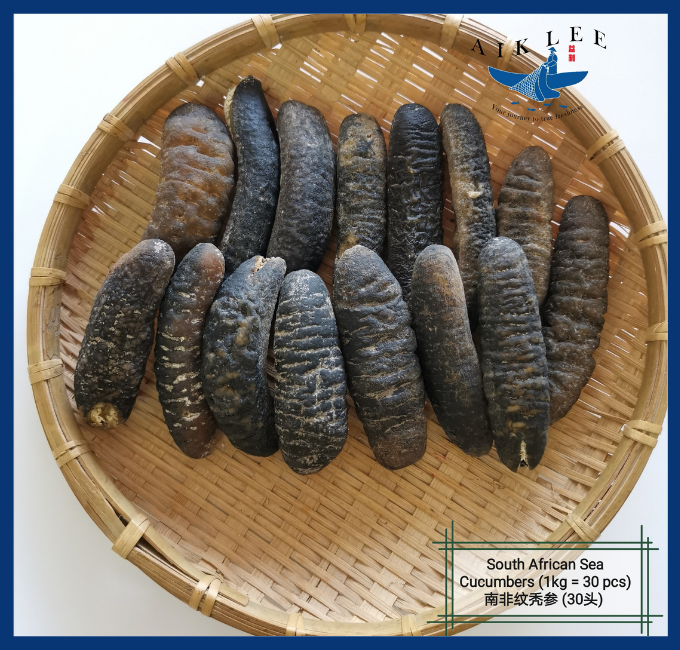 Sea Cucumber Sandfish (South Africa)