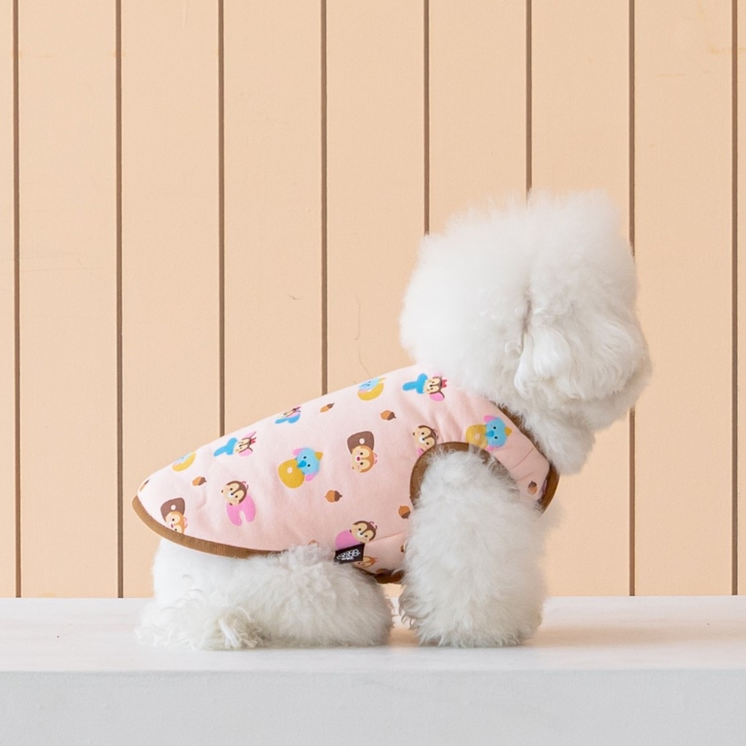 ★ Dentist Appointment ★ Disney 居家裏毛棉襖 (奇奇與蒂蒂)