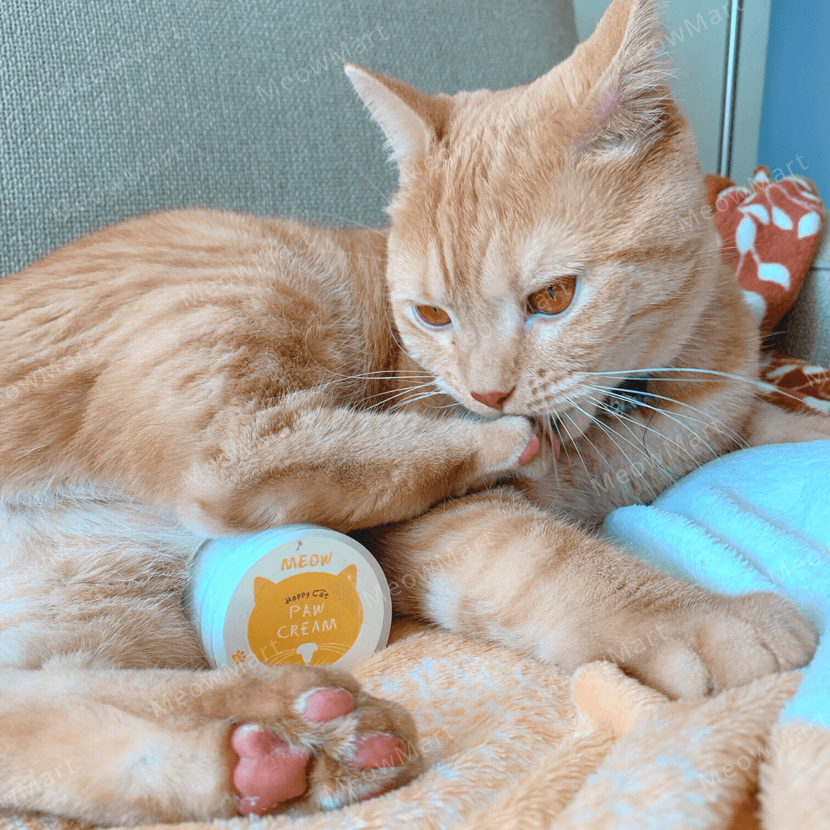 【現貨8折】Mr. Tail台灣趴趴走乳沐果護掌霜 (貓用) 50g