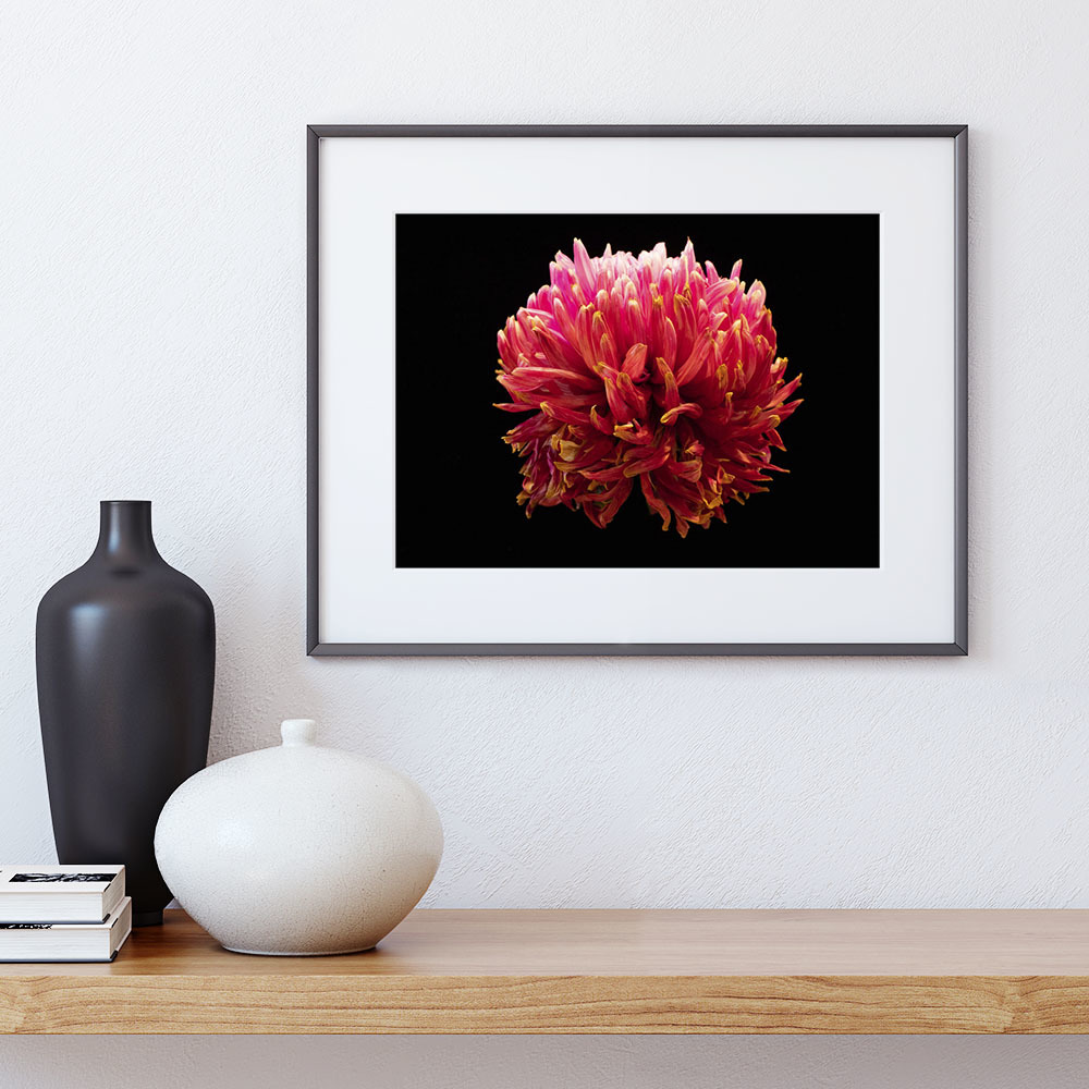 《花火》 系列 -1