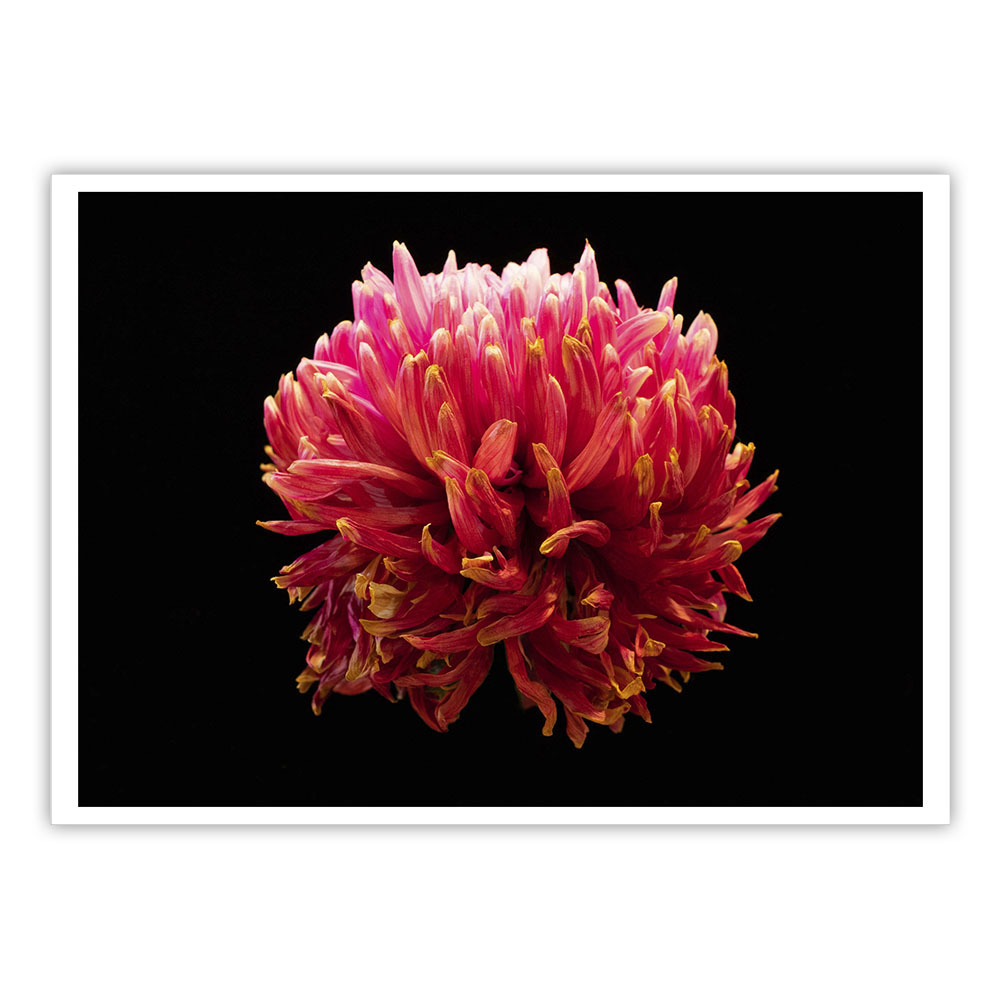 《花火》 系列 -1