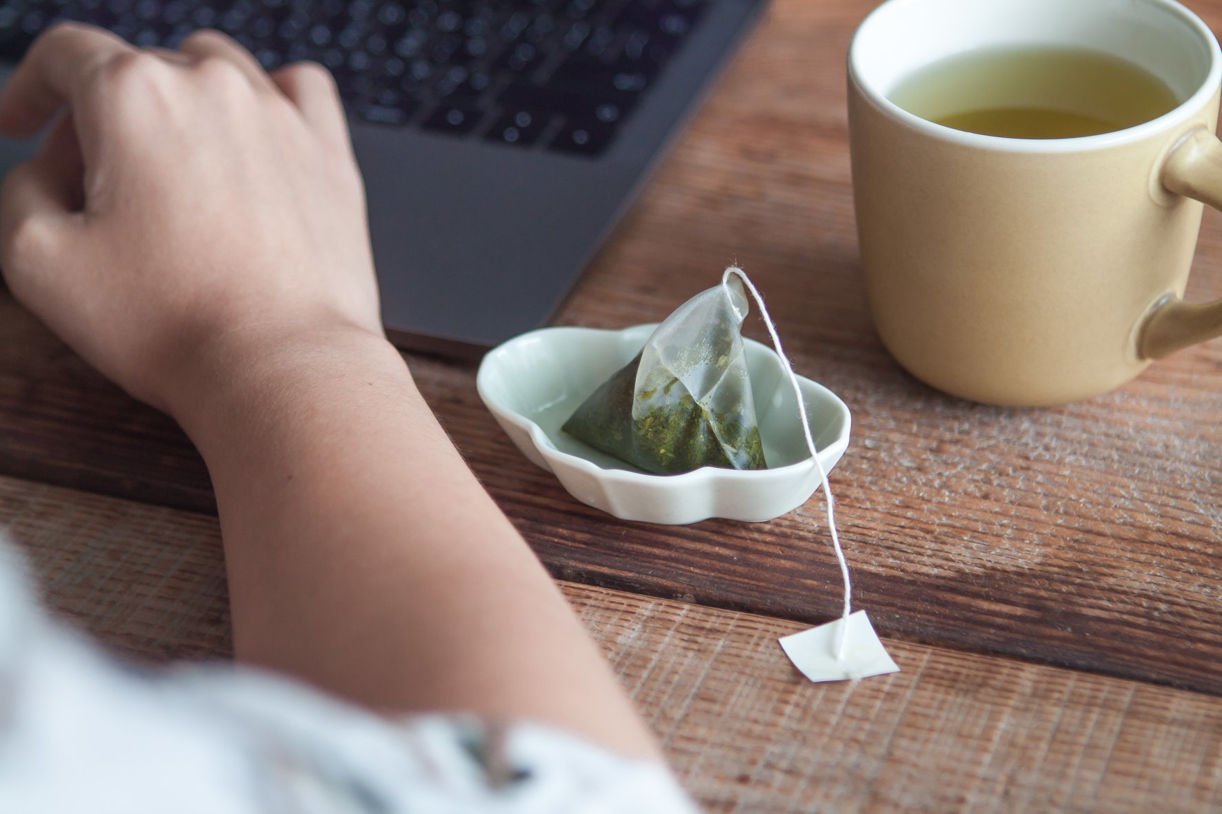 東屋-豆皿/木瓜/無地