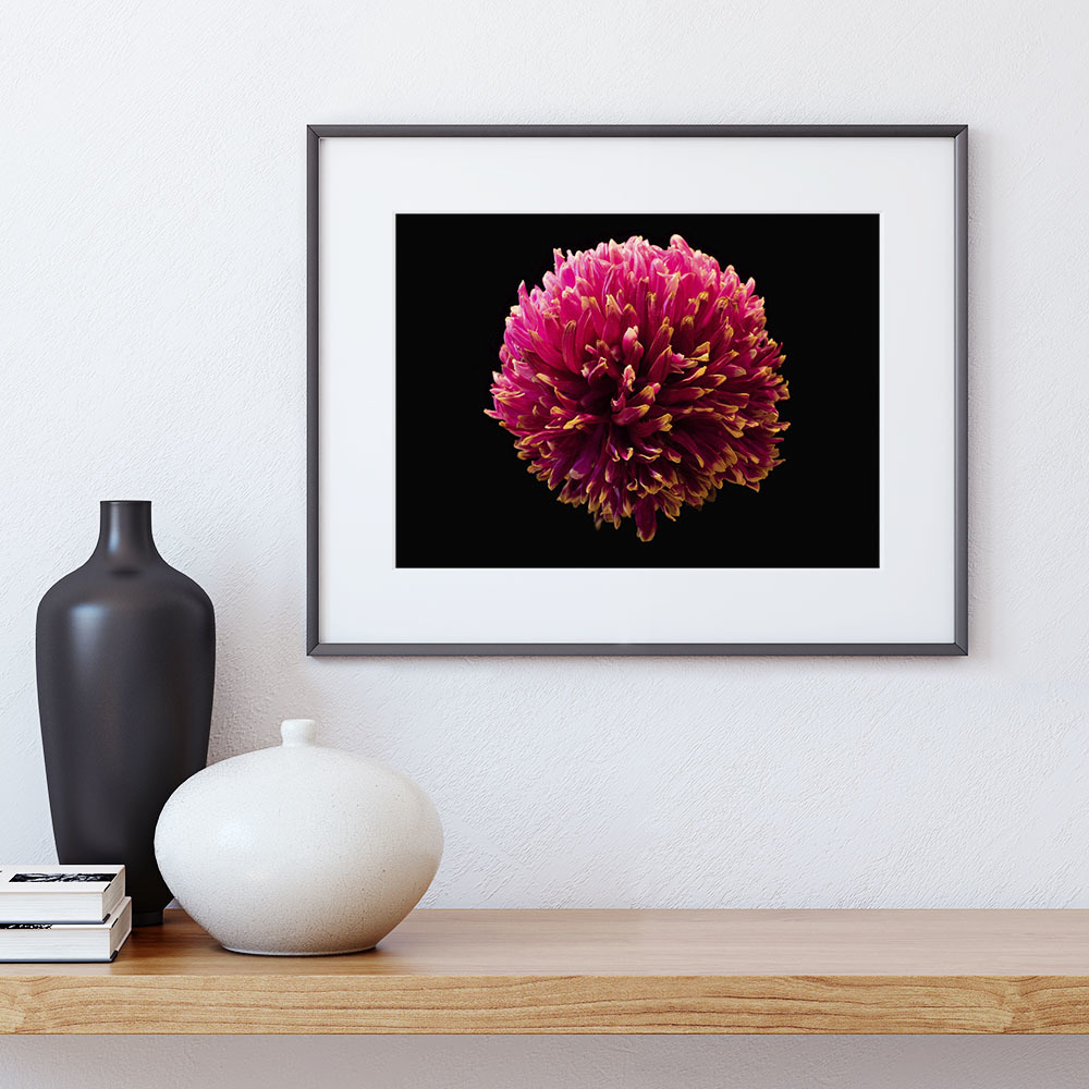 《花火》 系列 -2