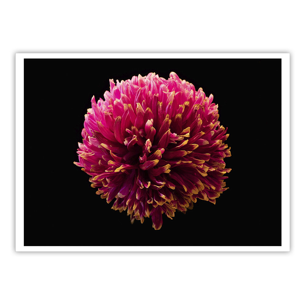 《花火》 系列 -2