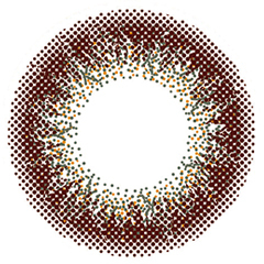 Envie 1Day Color Contact Lenses 日本Envie 每日即棄有色隱形眼鏡 30片(Olive Brown)