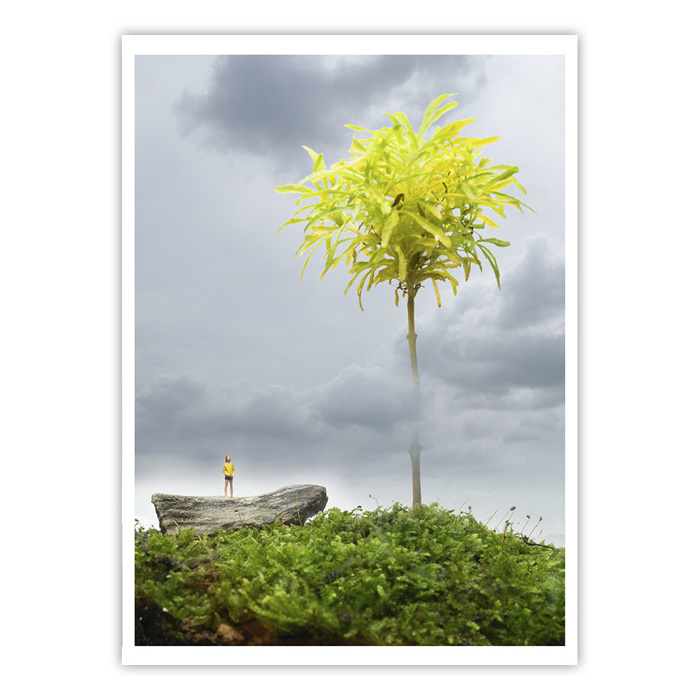 《心境》系列 - 1