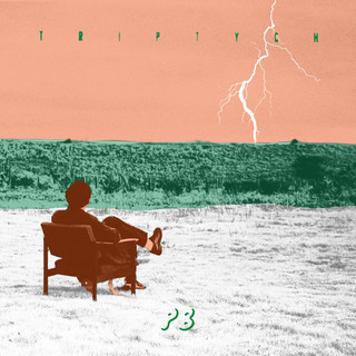 Shohei Takagi Parallela Botanica《TRIPTYCH》（CD）