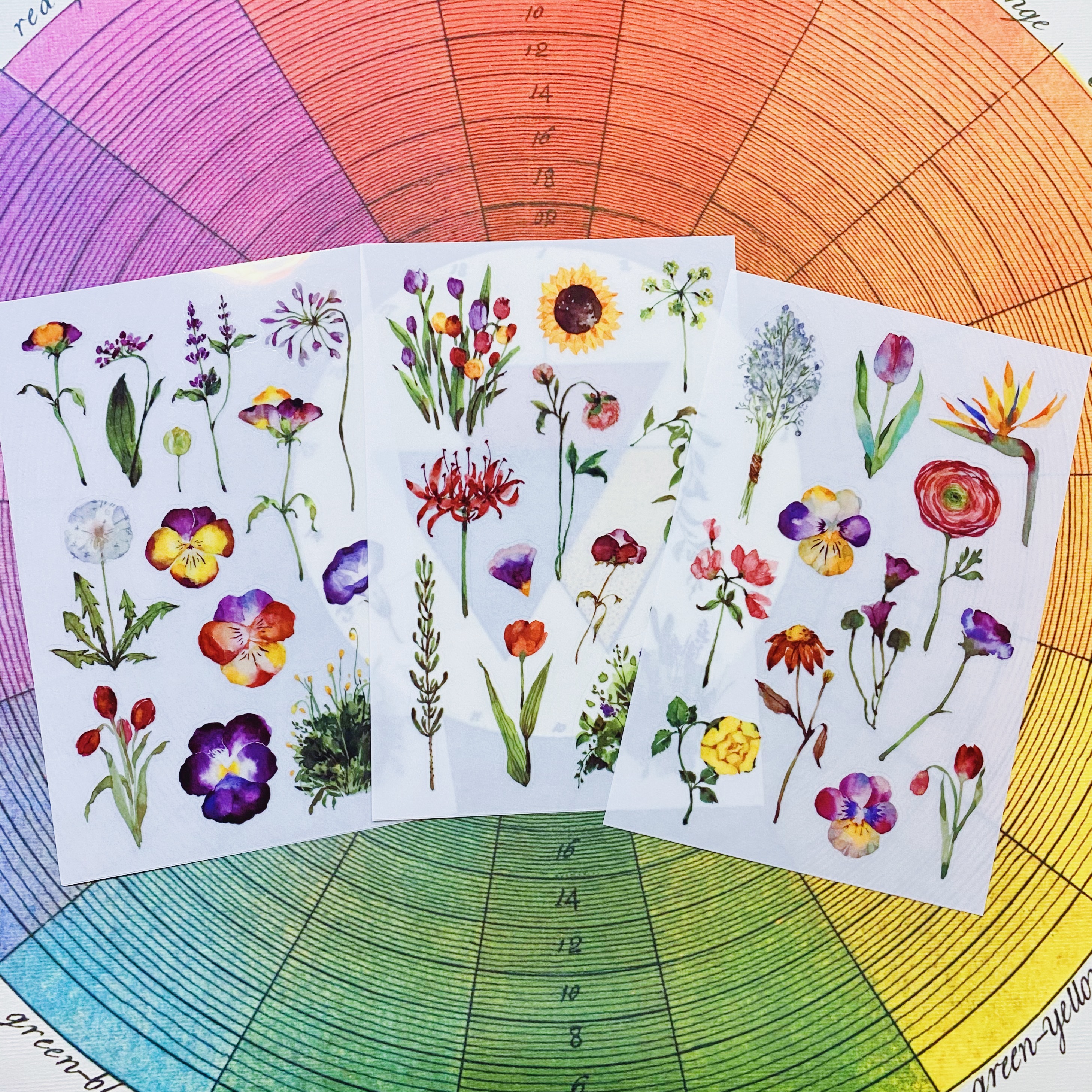 OURS 野花草 轉印貼紙