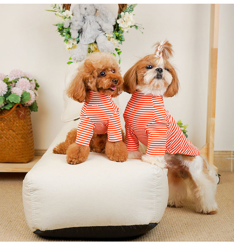 H.CHOUCHOU - 純棉彈力針織條紋打底衫 - 橙色 (平行進口貨品) [5尺寸]