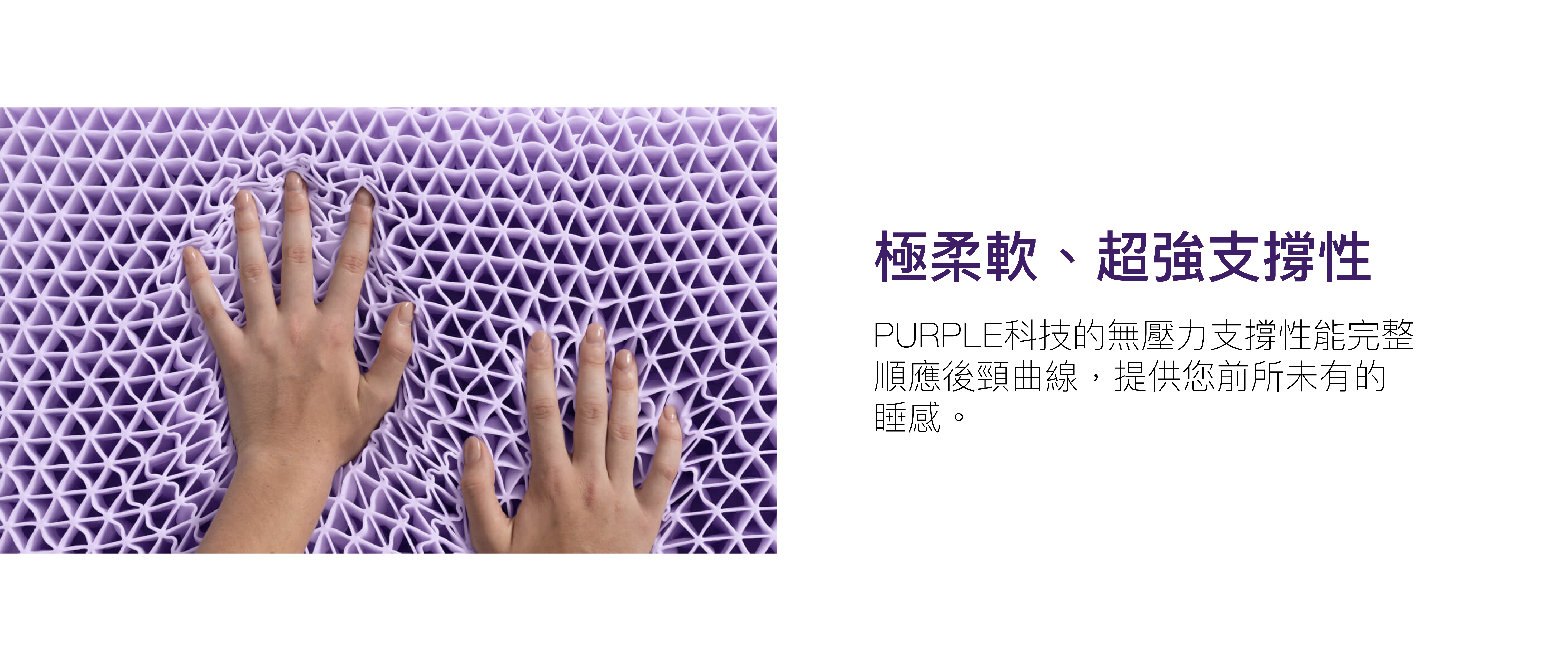 <img src="Oversleep-Purple-Mattress-Pillows-Cushions.jpeg" alt="Oversleep-Purple-Mattress-Pillows-Cushions">