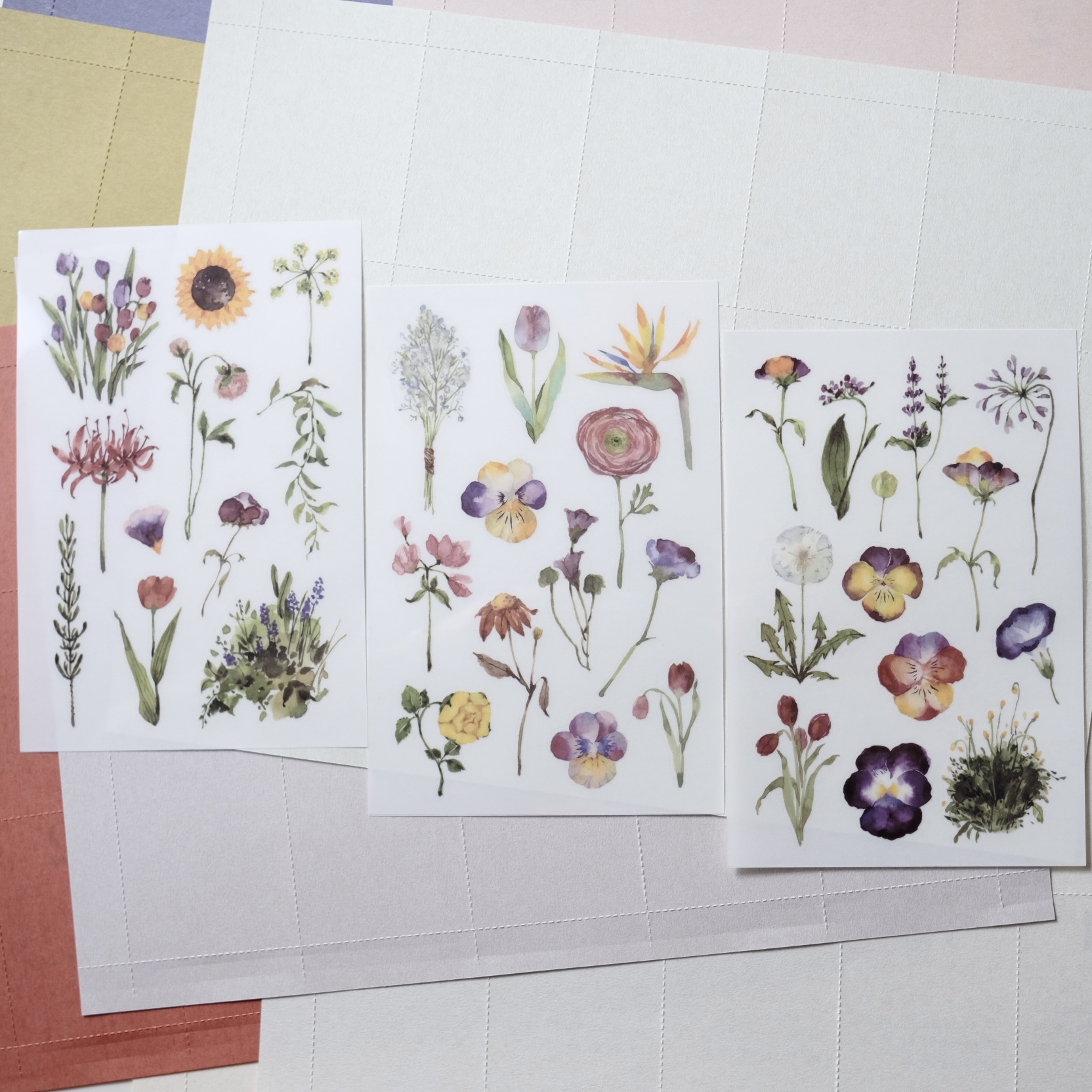 野花草 轉印貼紙 | OURS森林好朋友