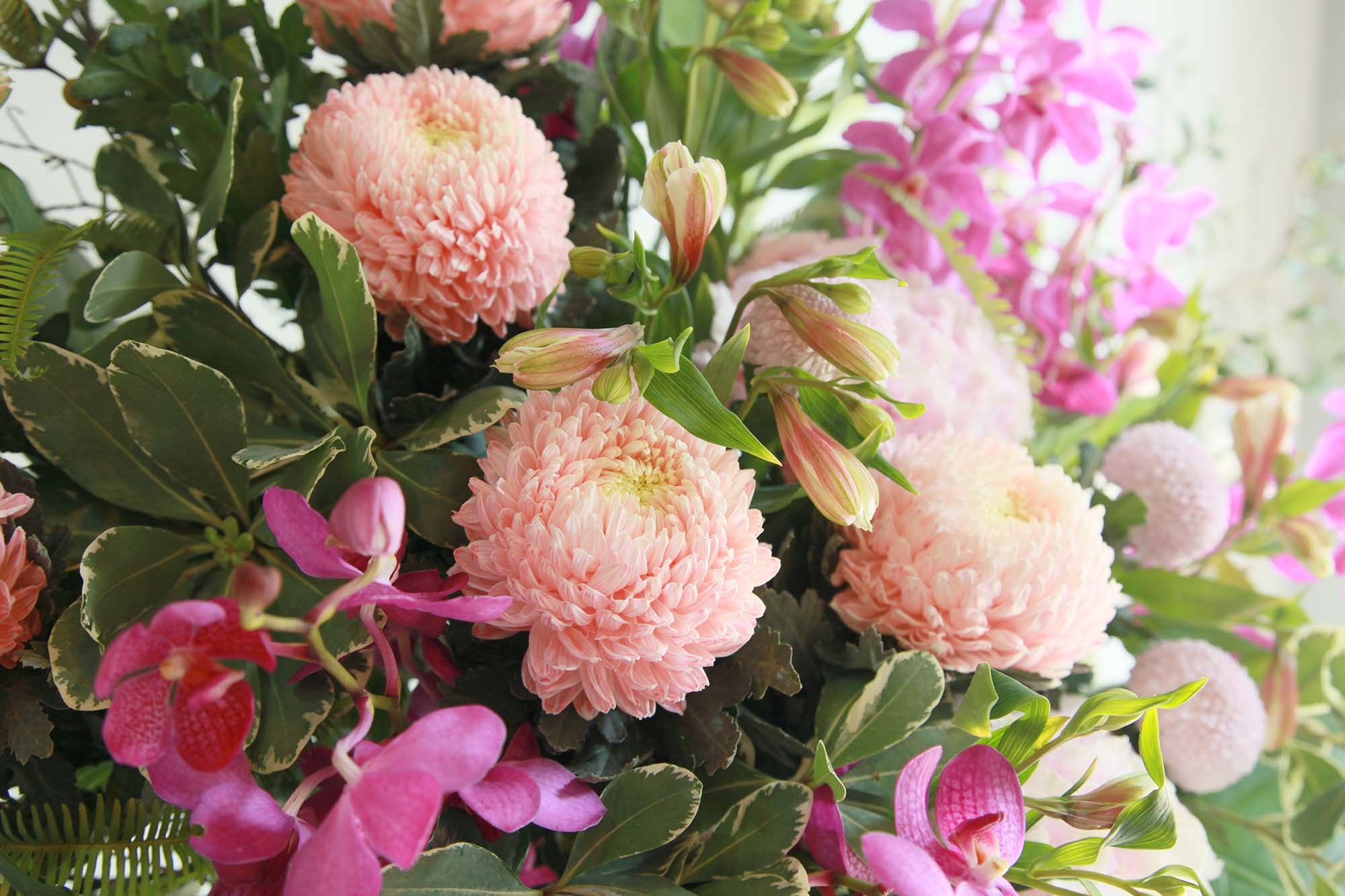 萬福 ｜新竹限定