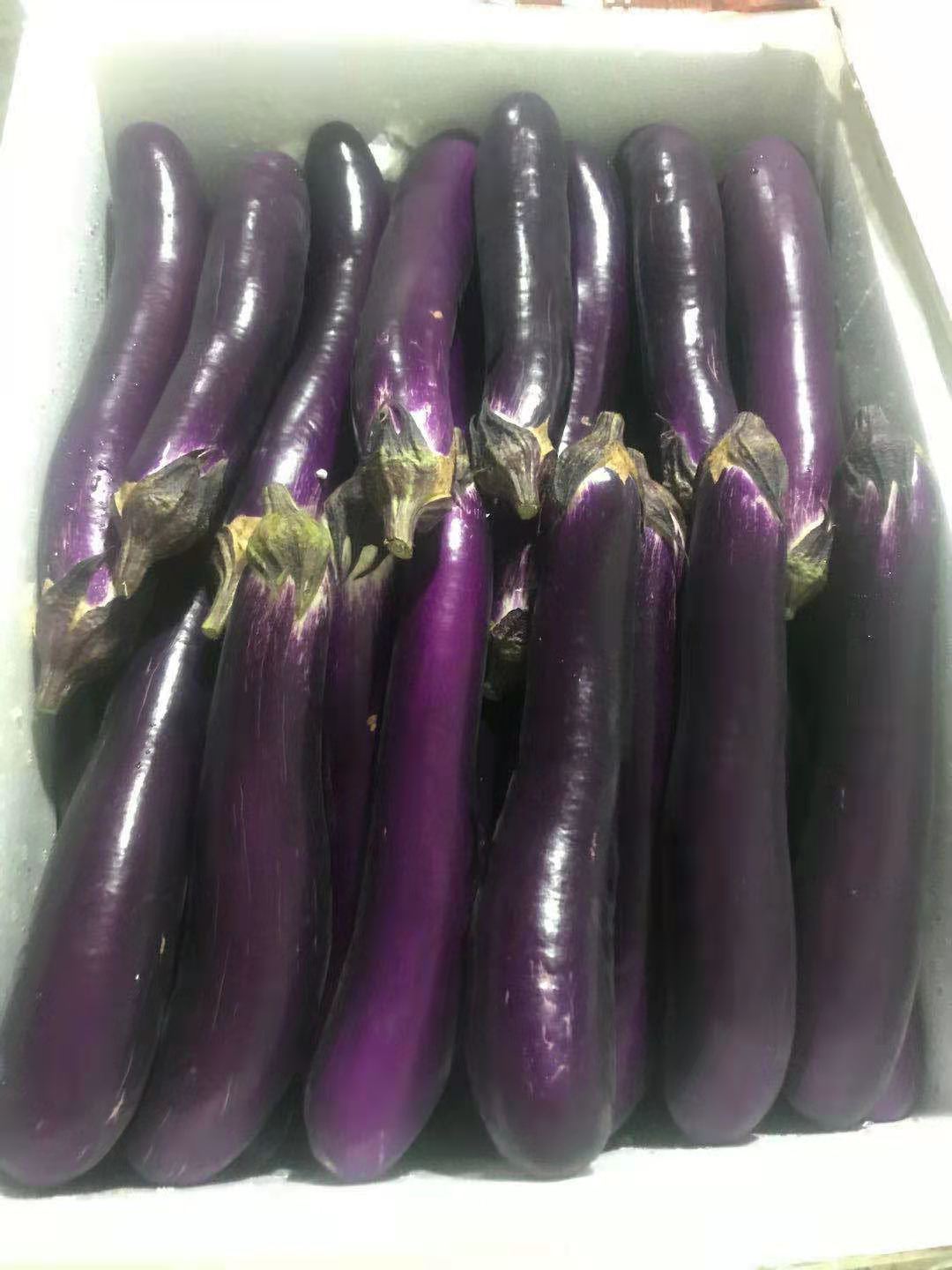 original.jpg?1609643791