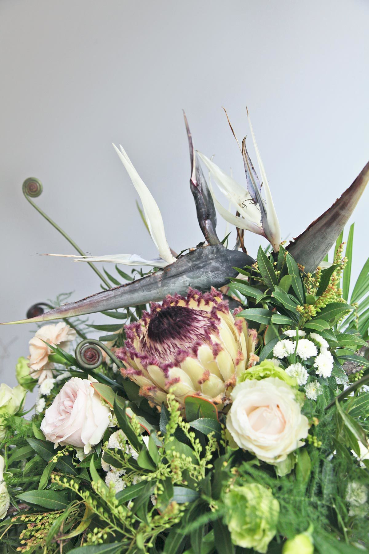 綠色天堂 ｜新竹限定