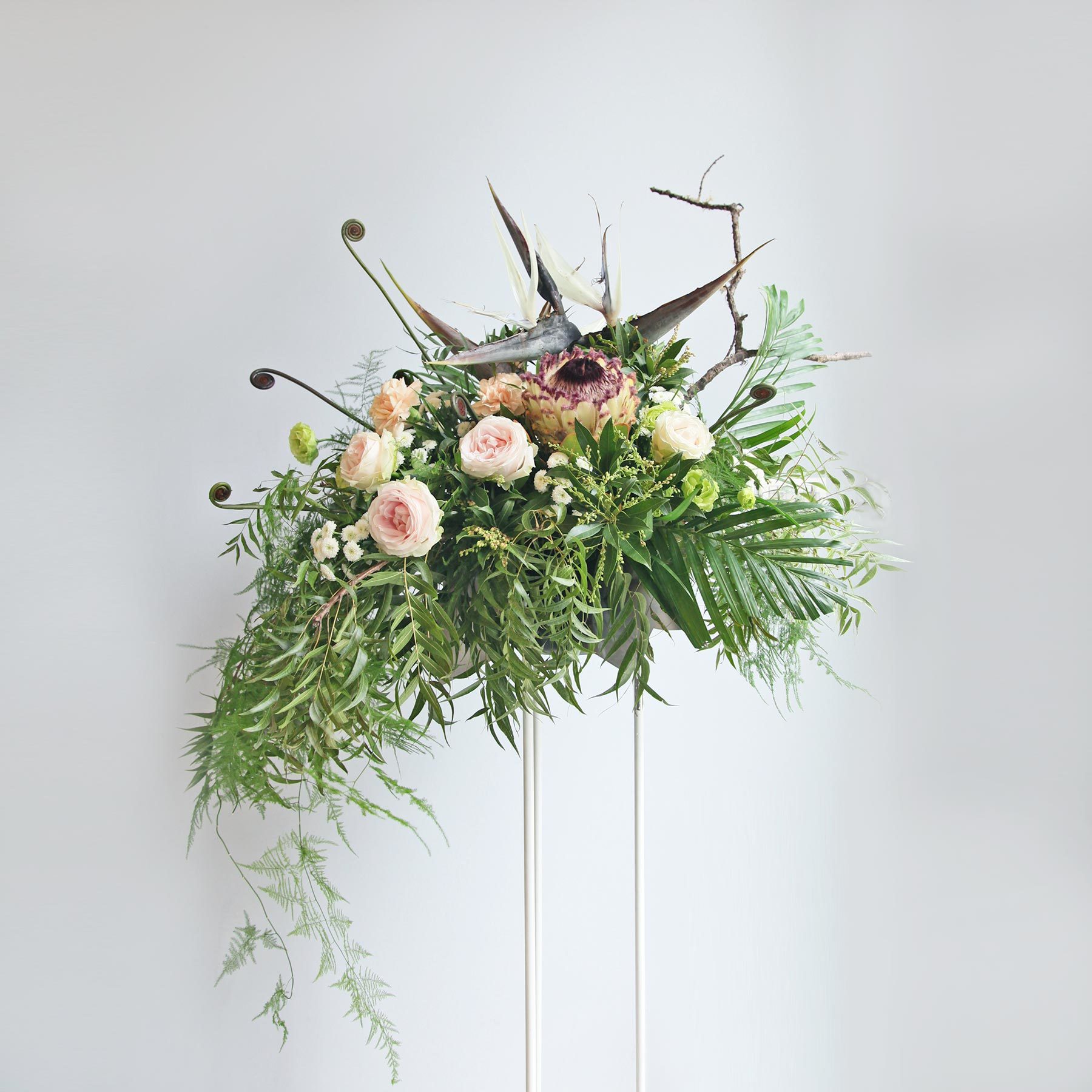 綠色天堂 ｜新竹限定