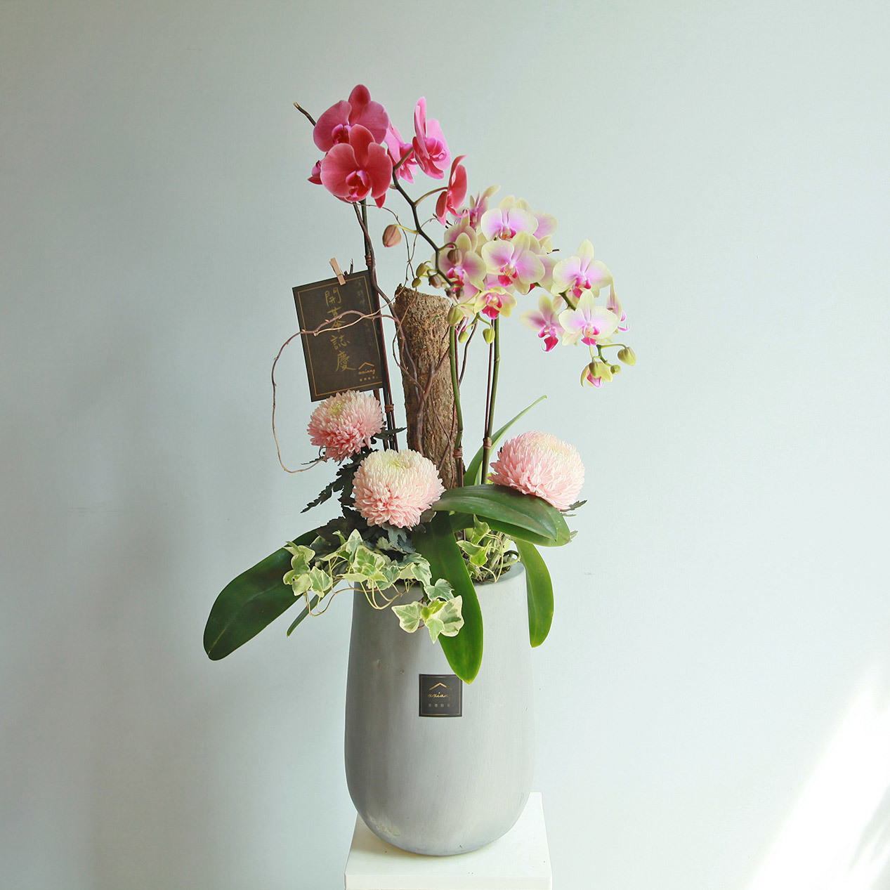 蘭景長紅・蘭花盆景 ｜新竹限定