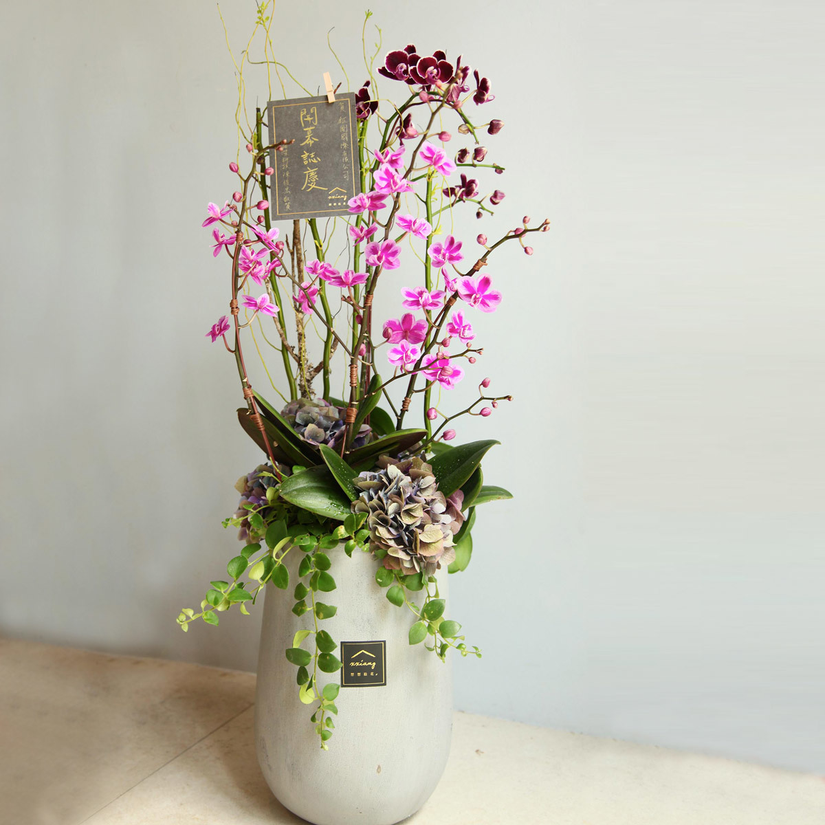 蘭景圓融・蘭花盆景｜新竹限定
