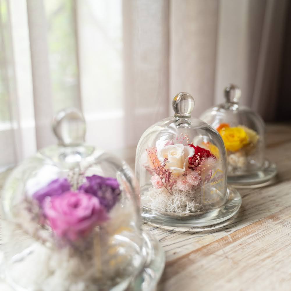 迷你鐘罩花｜新竹限定