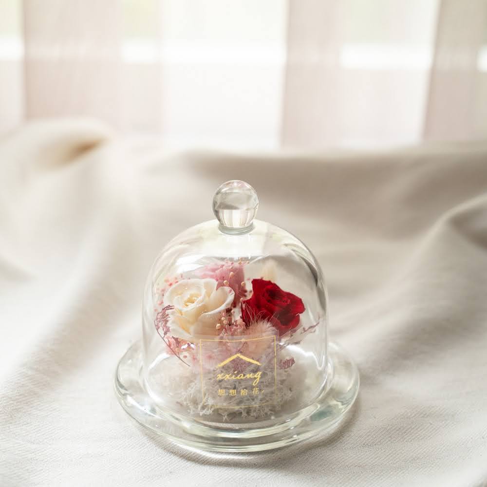 迷你鐘罩花｜新竹限定