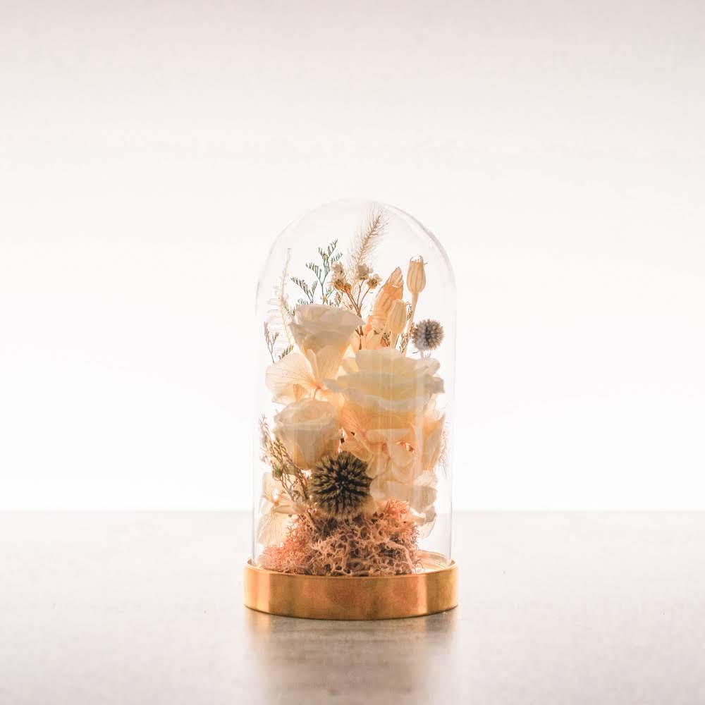 永生鐘罩花系列(小)｜白玫瑰