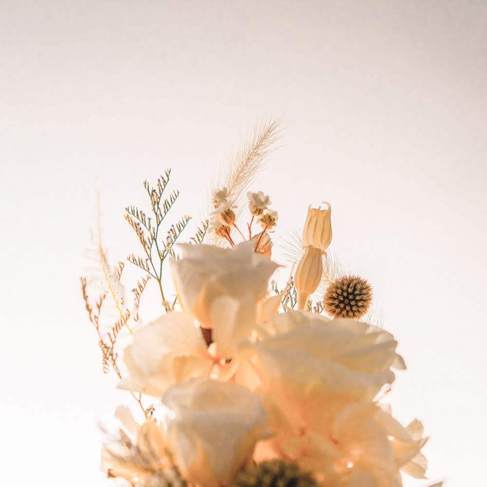 永生鐘罩花系列(小)｜白玫瑰