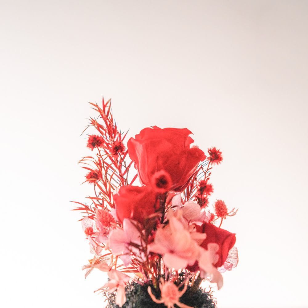 永生鐘罩花系列(小)｜紅玫瑰