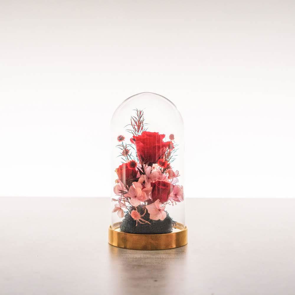 永生鐘罩花系列(小)｜紅玫瑰