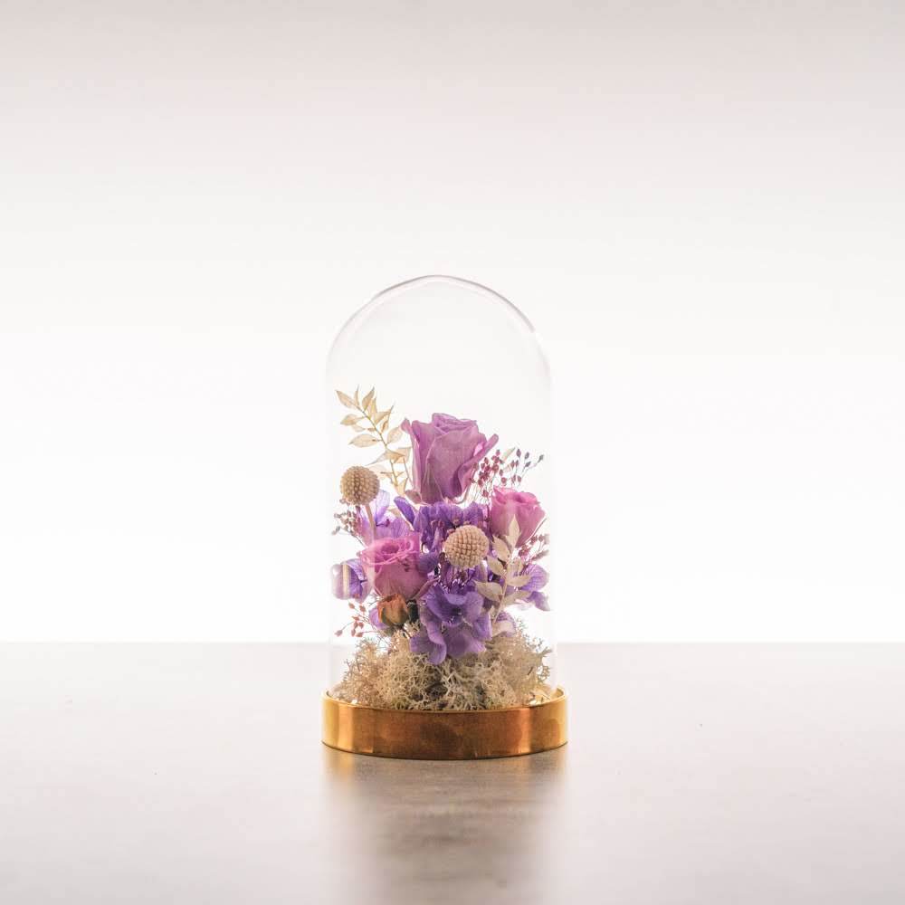 永生鐘罩花系列(小)｜紫玫瑰