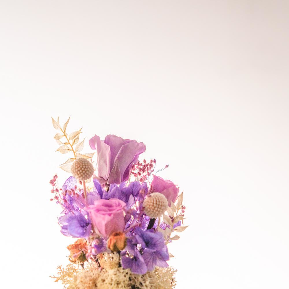 永生鐘罩花系列(小)｜紫玫瑰