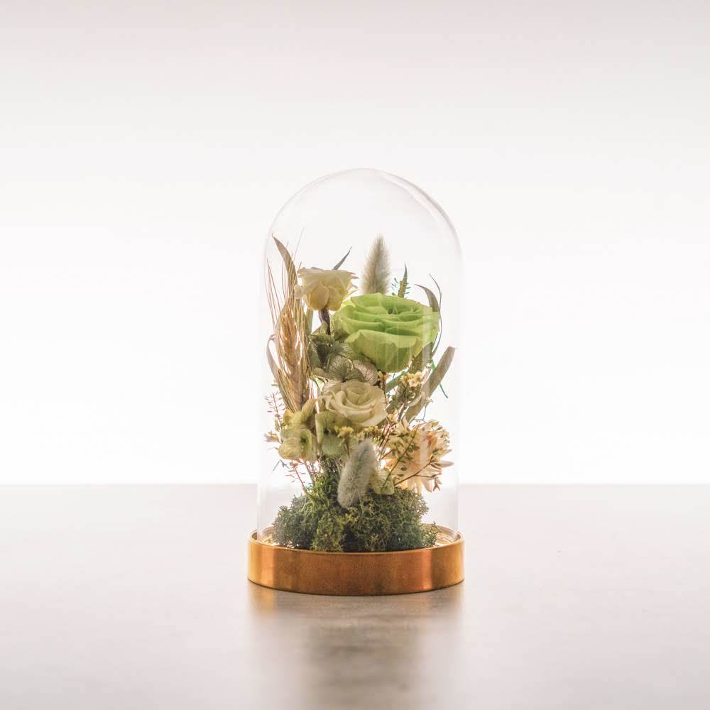 永生鐘罩花系列(小)｜綠玫瑰