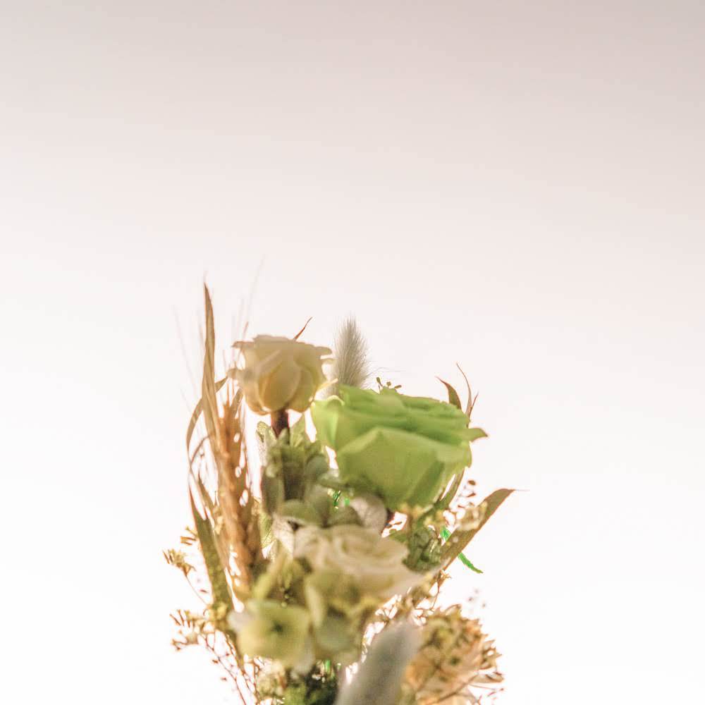 永生鐘罩花系列(小)｜綠玫瑰