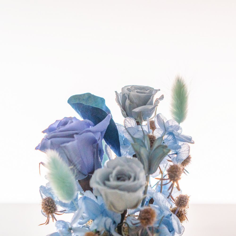 永生鐘罩花系列(小)｜藍玫瑰