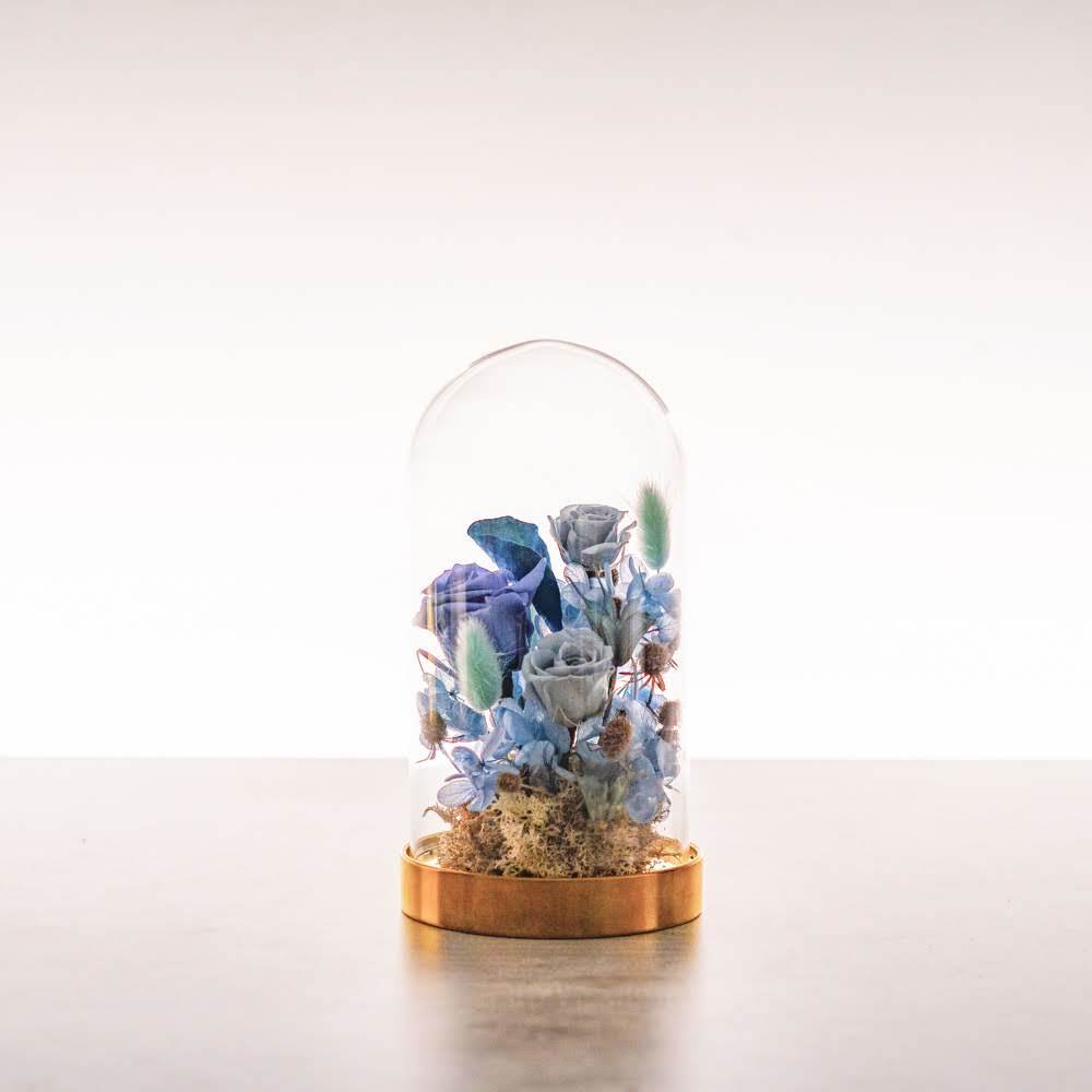 永生鐘罩花系列(小)｜藍玫瑰