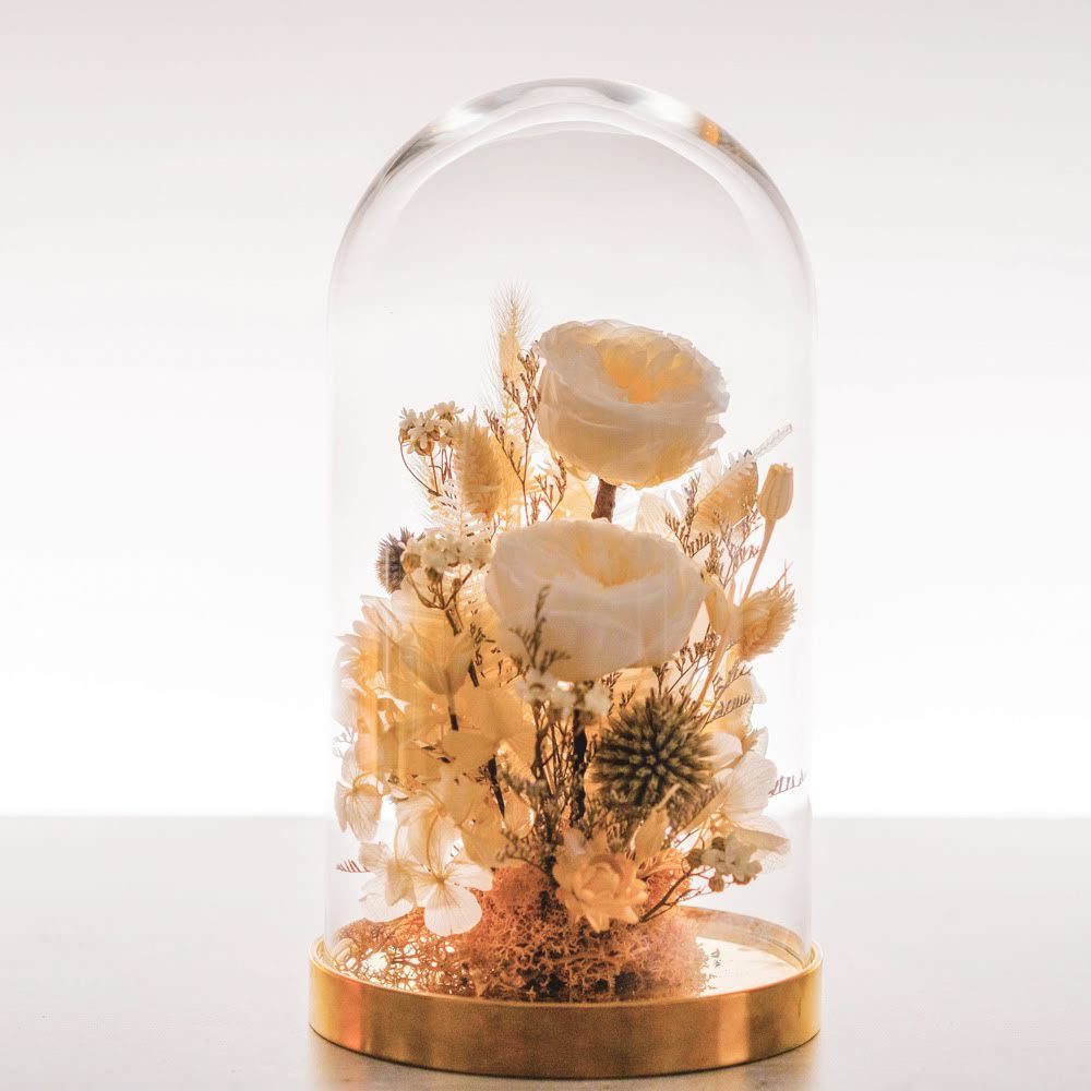 永生鐘罩花系列(大)｜白玫瑰