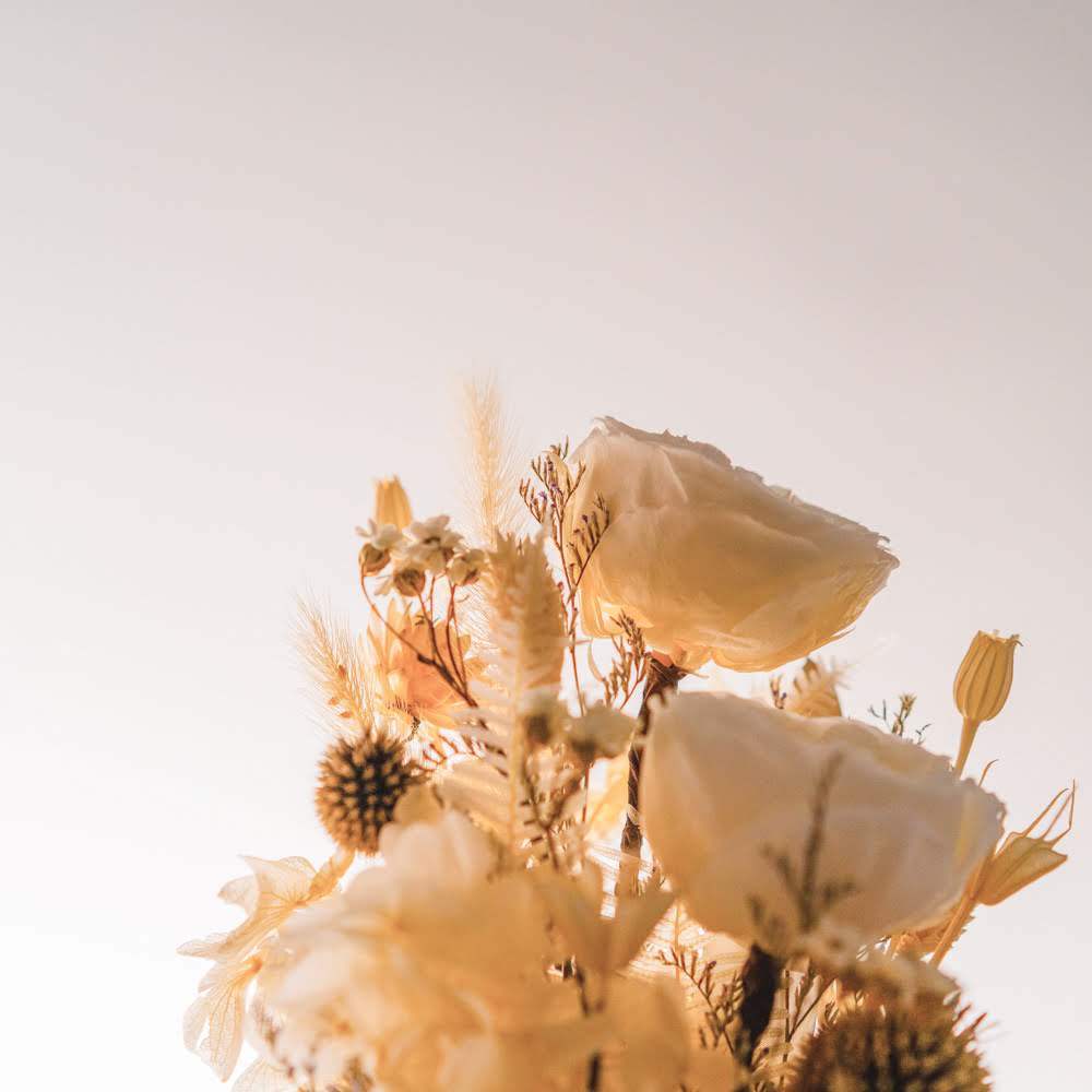 永生鐘罩花系列(大)｜白玫瑰