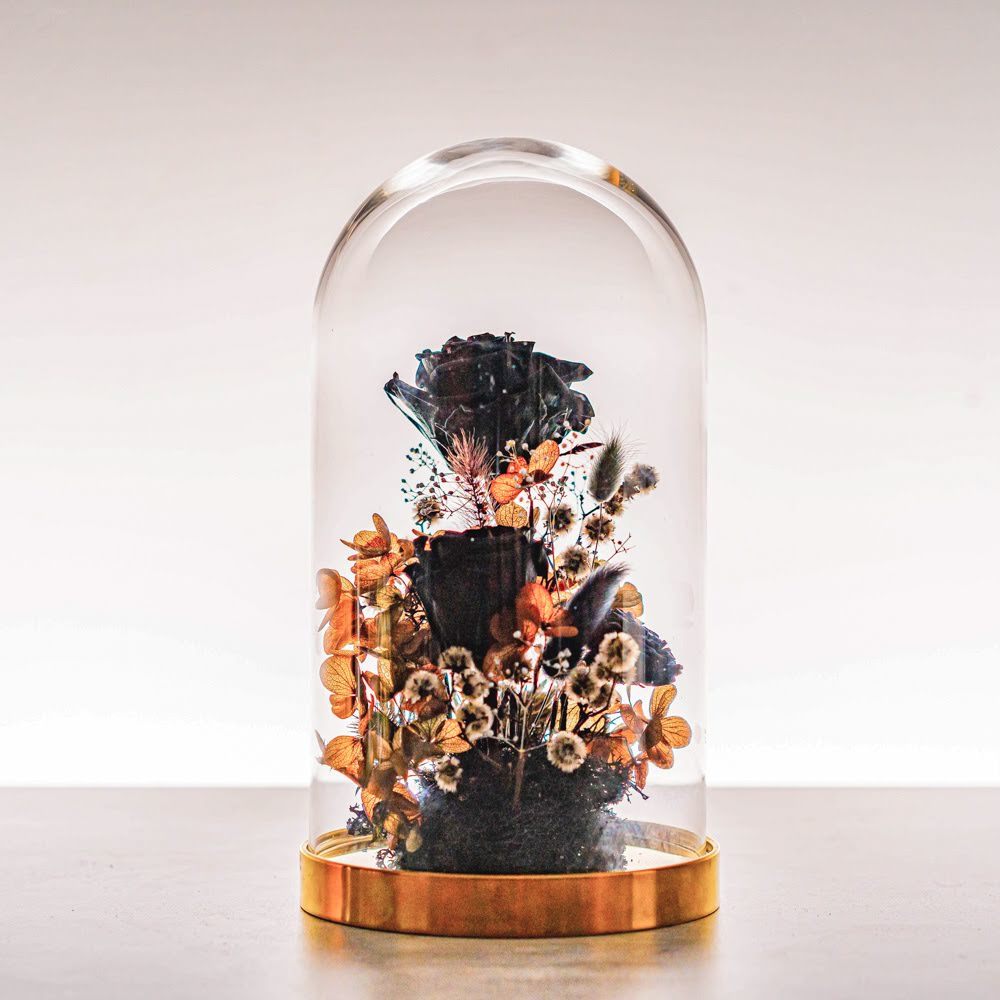 永生鐘罩花系列(大)｜黑玫瑰