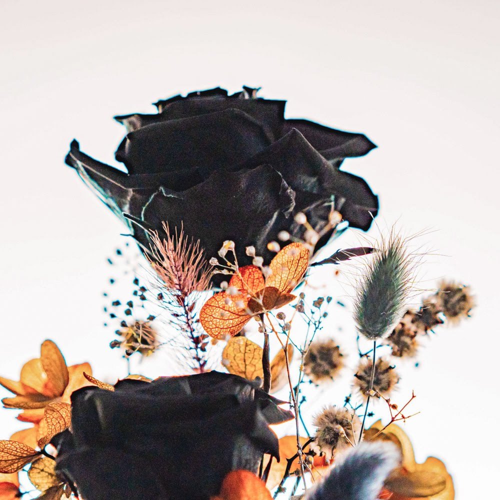 永生鐘罩花系列(大)｜黑玫瑰