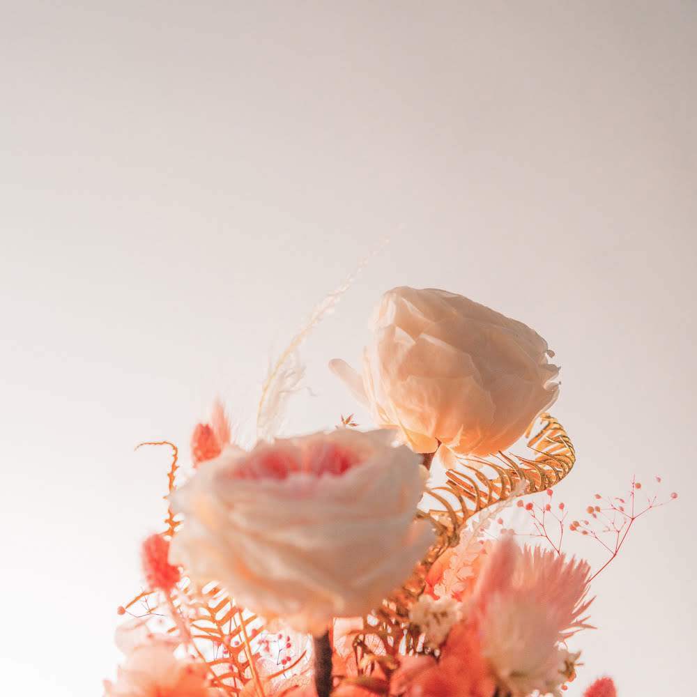 永生鐘罩花系列(大)｜粉玫瑰