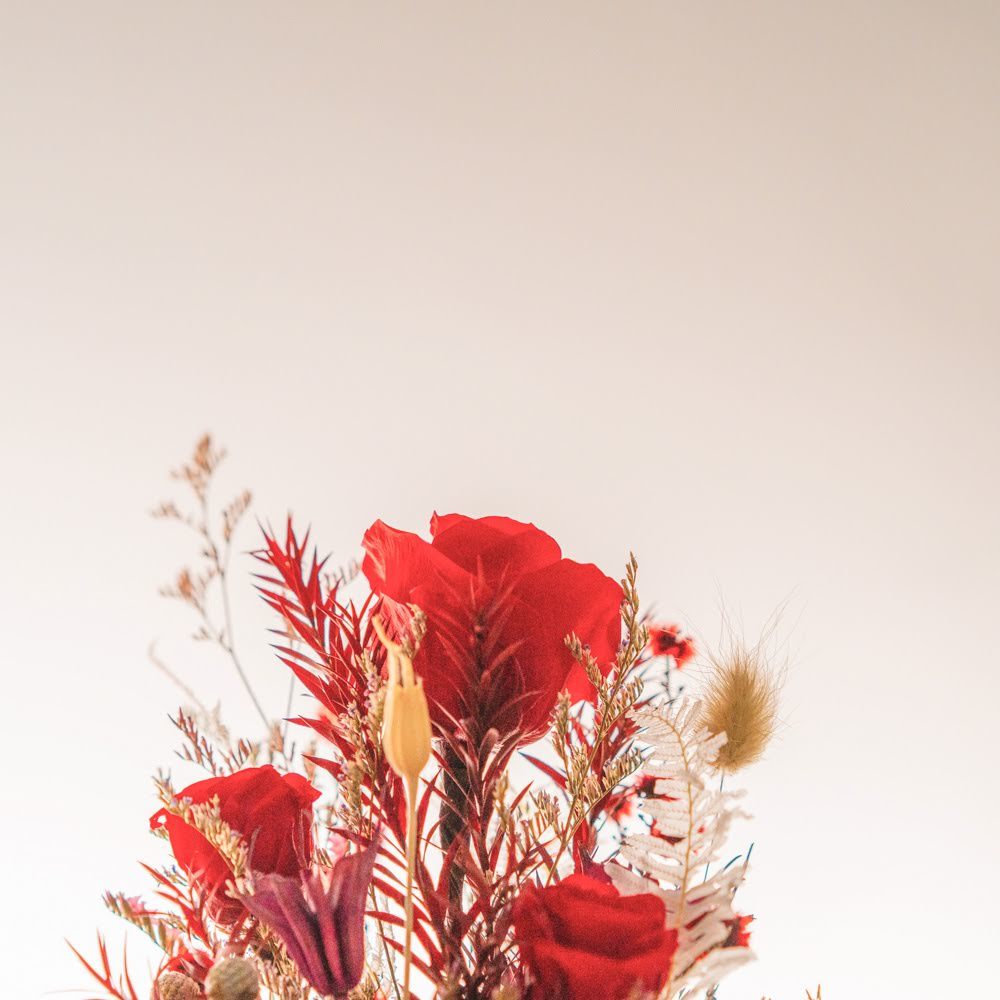 永生鐘罩花系列(大)｜紅玫瑰