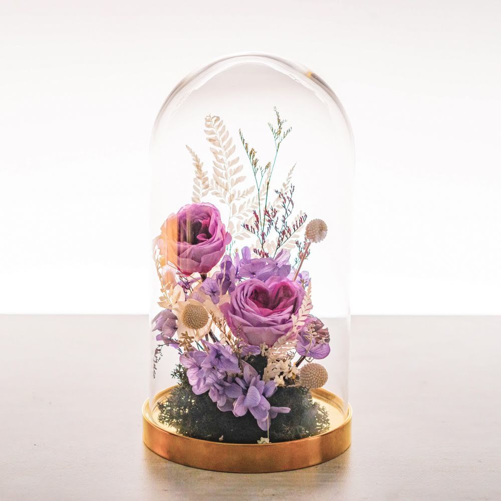 永生鐘罩花系列(大)｜紫玫瑰