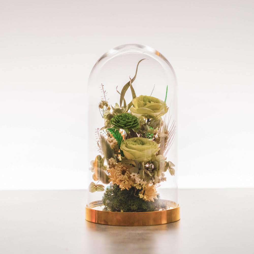 永生鐘罩花系列(大)｜綠玫瑰