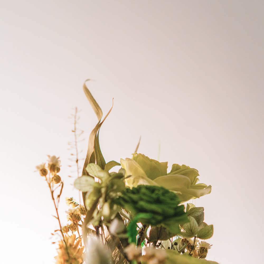 永生鐘罩花系列(大)｜綠玫瑰