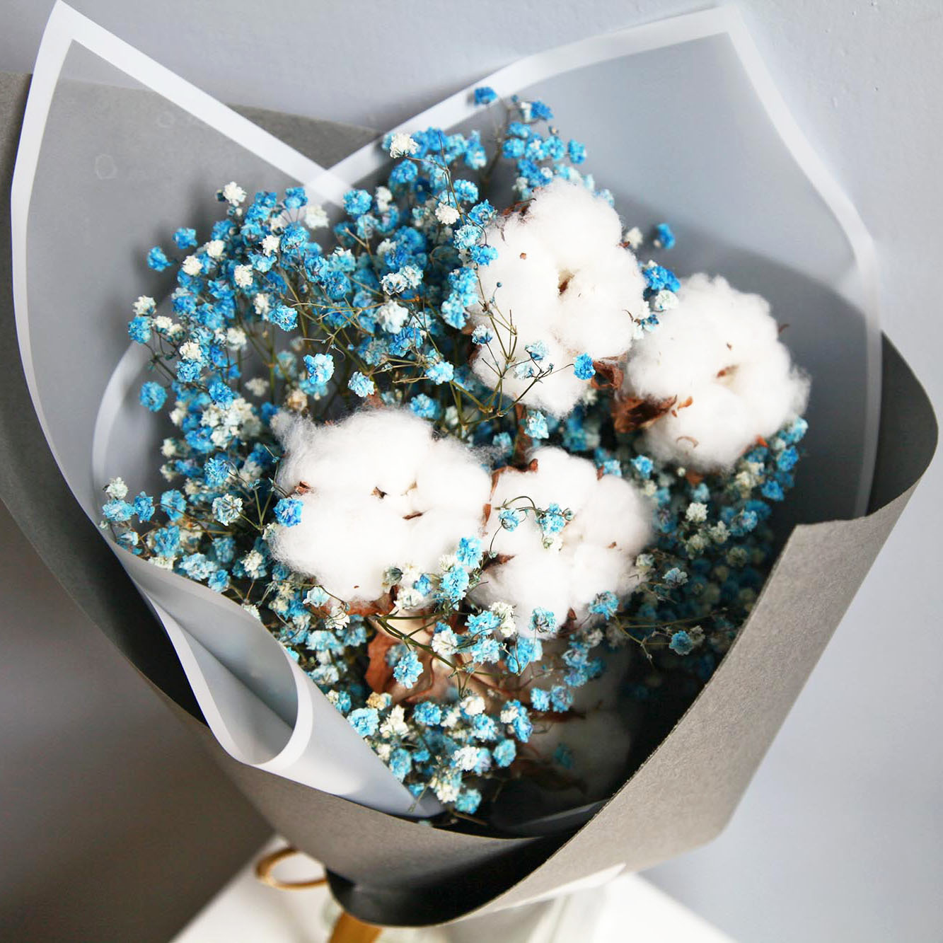 記憶中的藍色眼睛