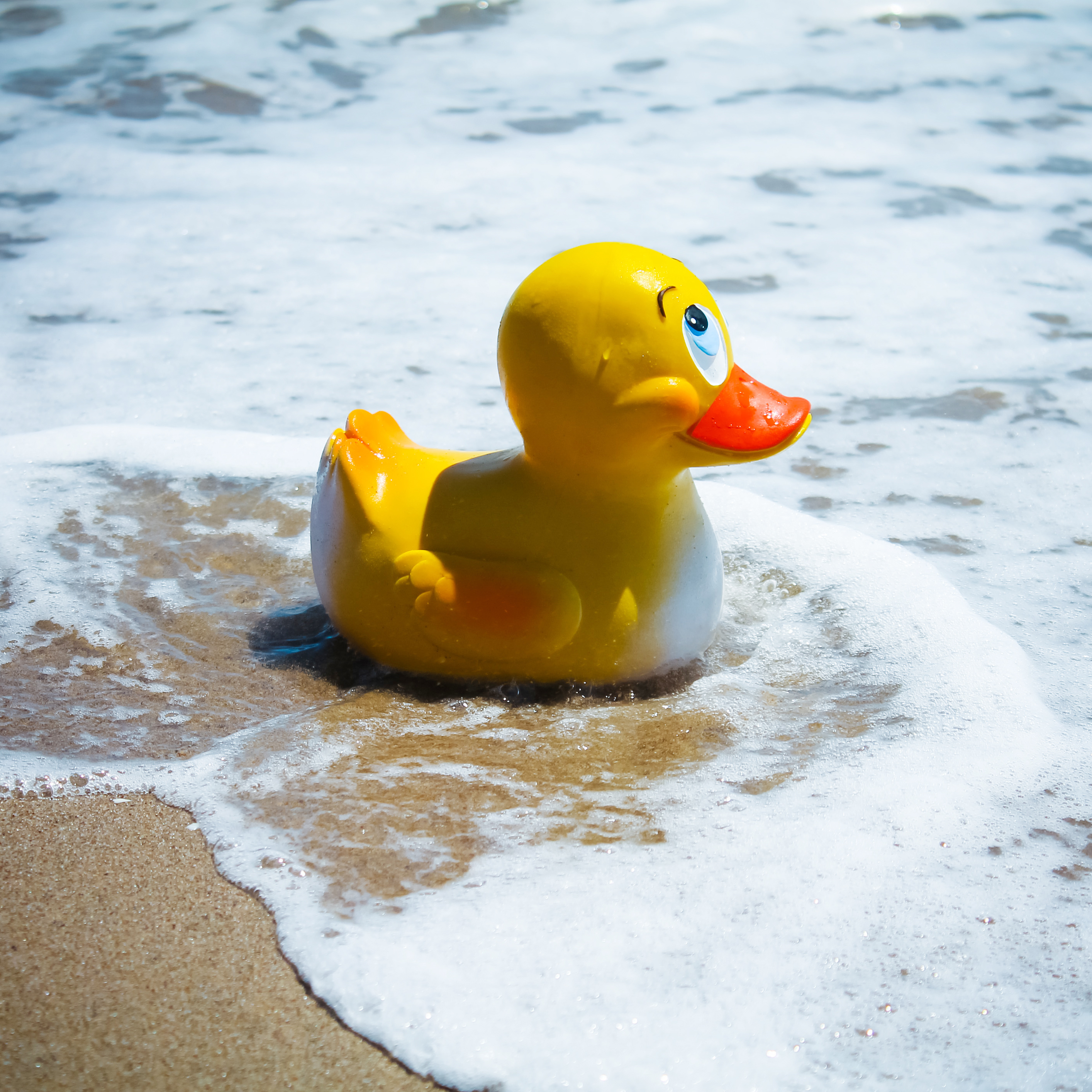 《 Lanco 》天然無毒橡膠玩具【鴨鴨系列】