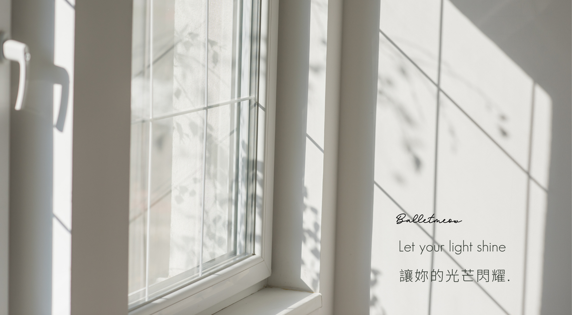 假領子 假領片 假領子 襯衫 假領子 蝦皮 假領子哪裡買 假領子 diy 假領子 穿搭 假領子 ptt 假領子 蝦皮